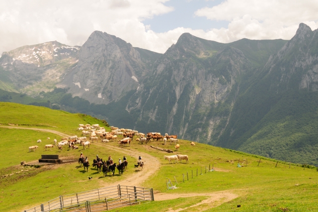  Pyrenees National Park 